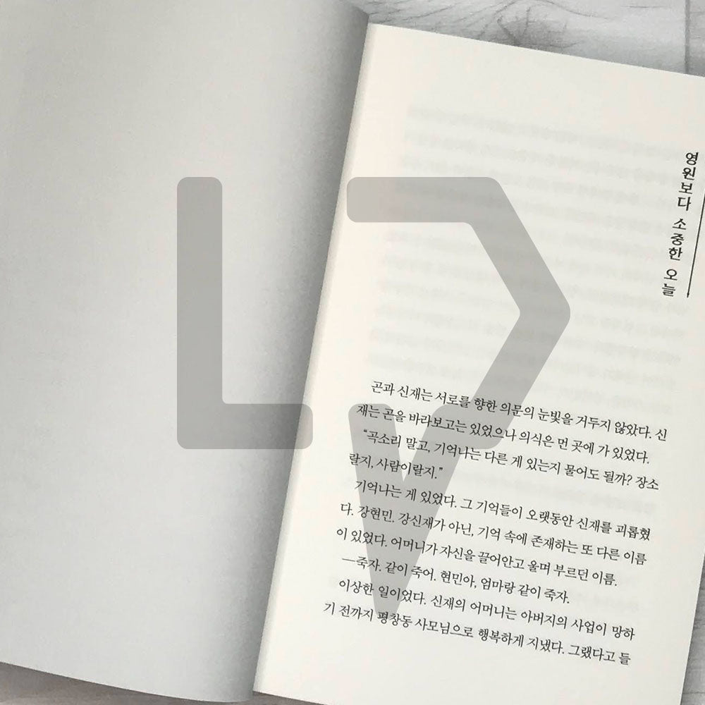 The King: Eternal Monarch 더 킹 영원의 군주 Vol. 2