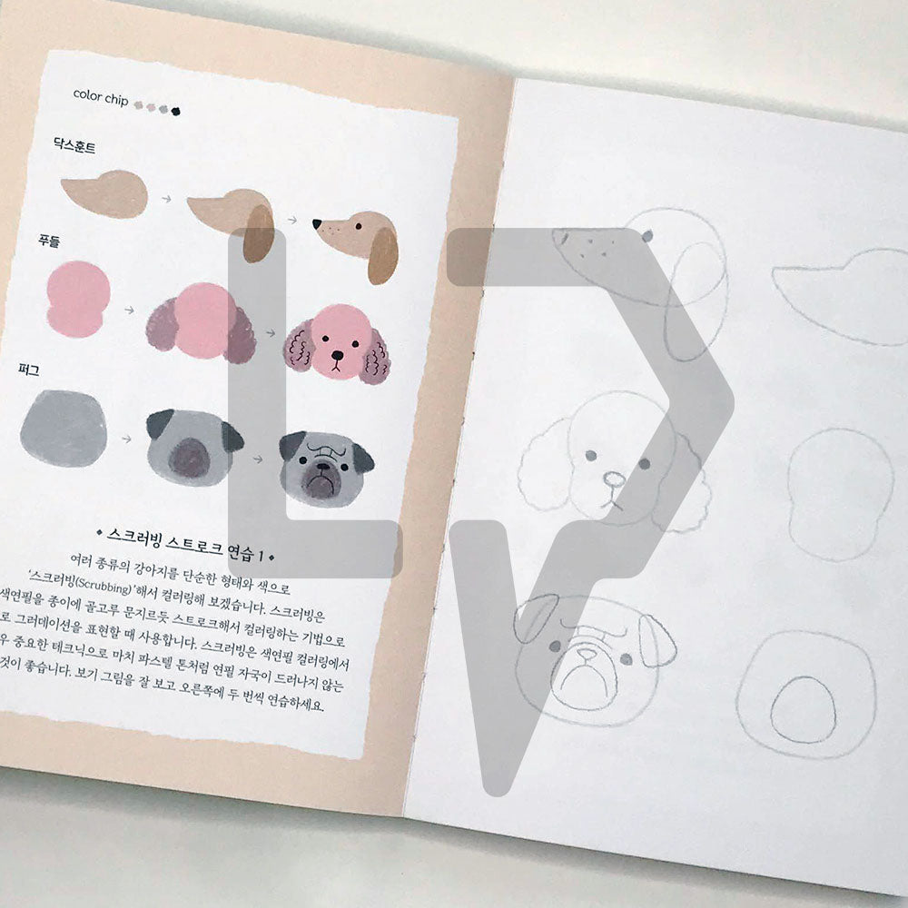 5-Minute Coloring Book Dogs 5분 컬러링북 강아지 - Life Pattern Korea
