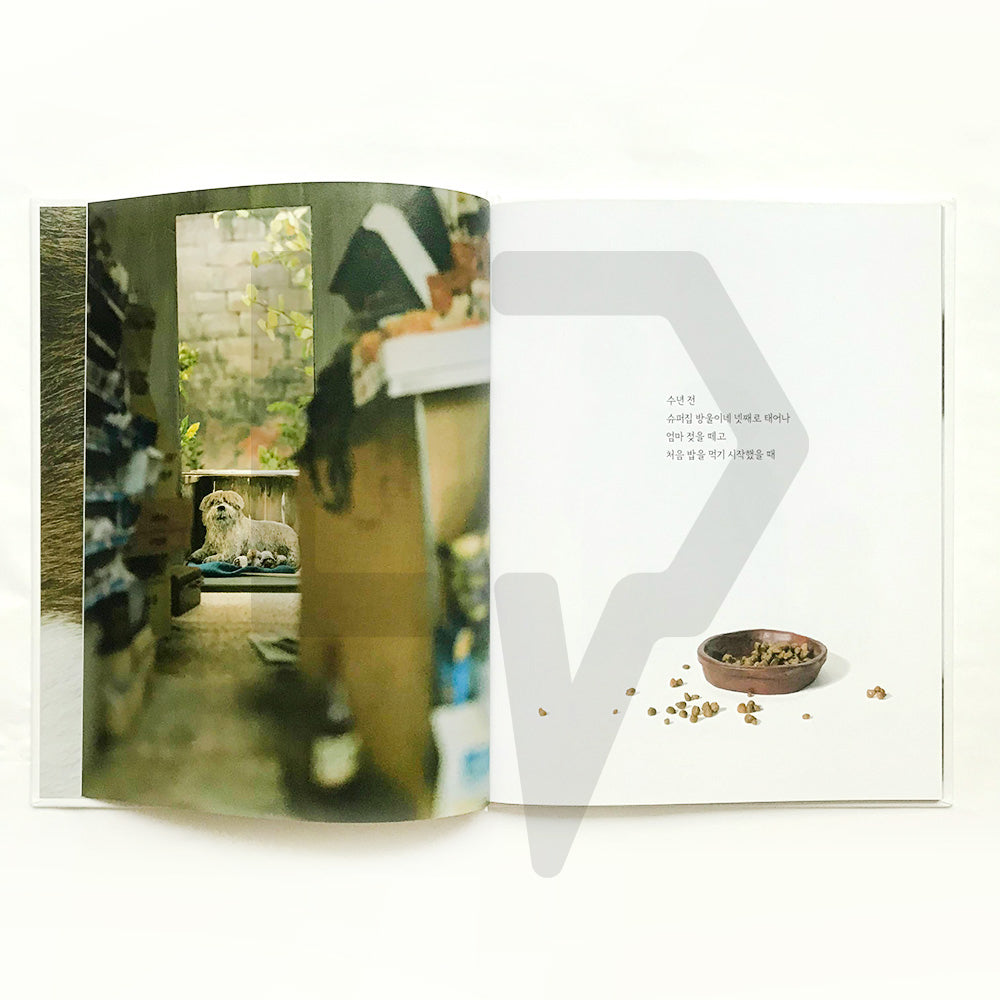 I am a dog 나는 개다 - Life Pattern Korea