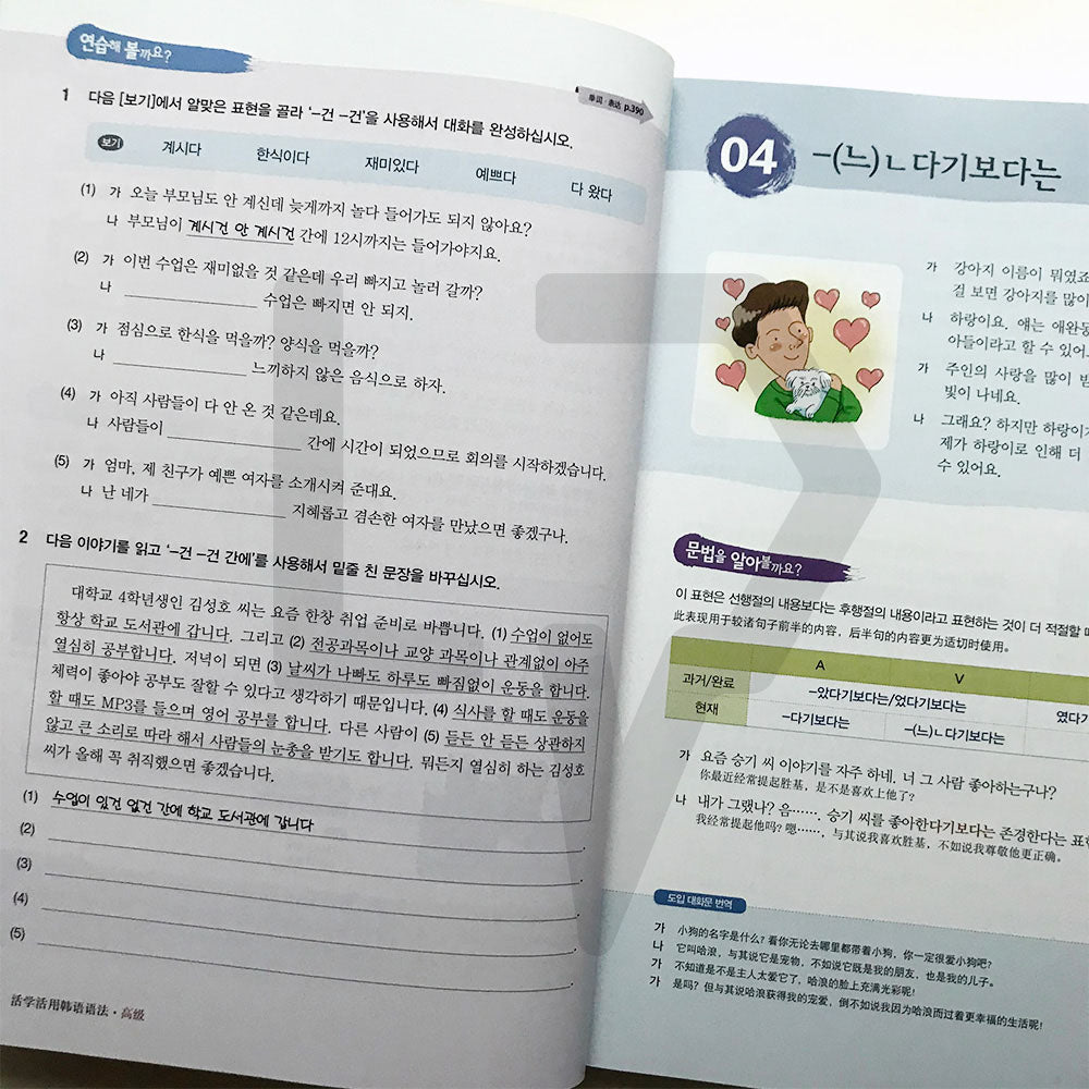 Korean Grammar in Use Advanced (Chinese) - Life Pattern Korea