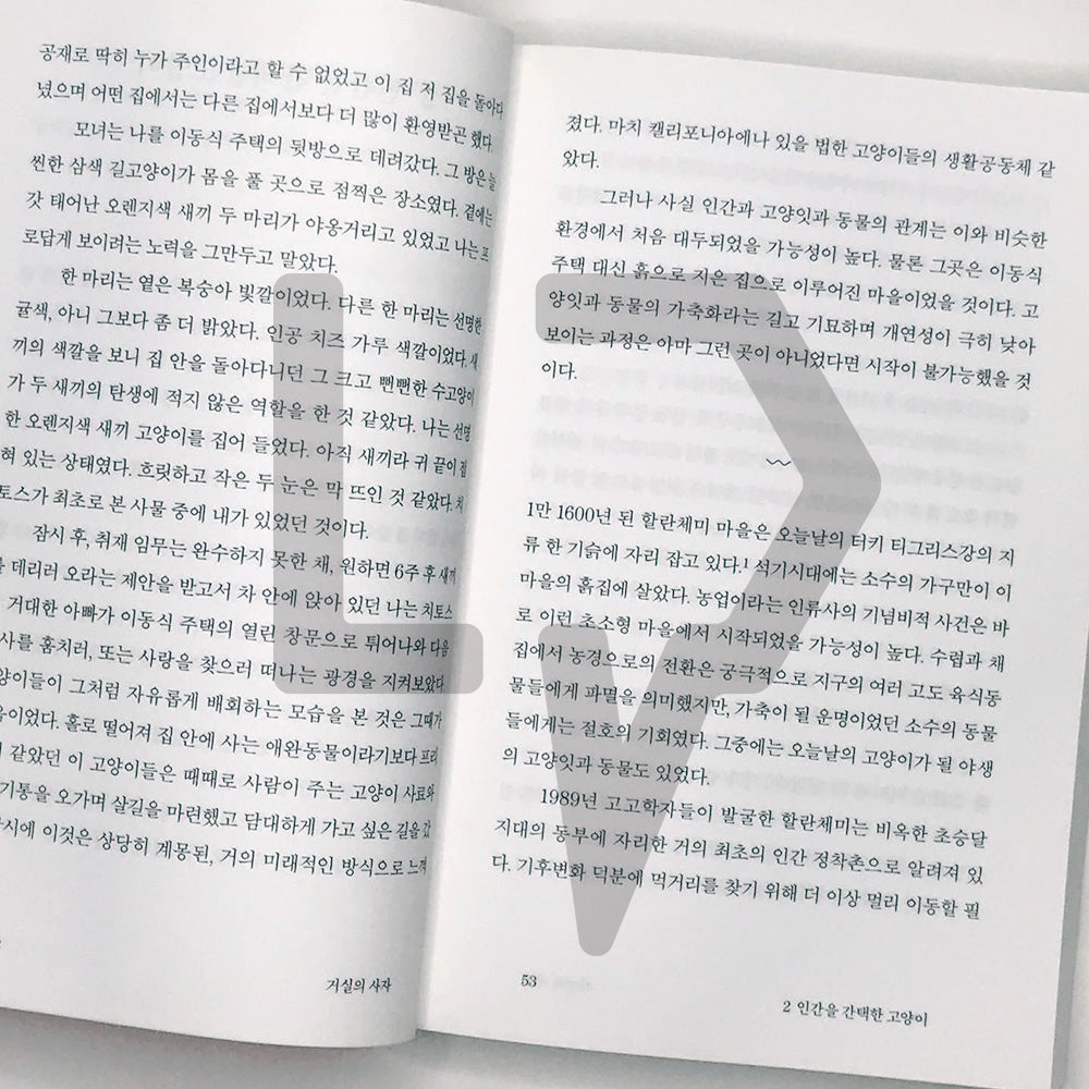 The Lion in the Living Room 거실의 사자 - Life Pattern Korea
