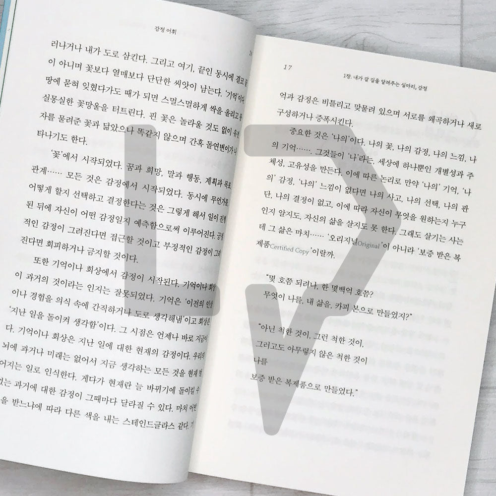 Emotion Vocabulary 감정 어휘 - Life Pattern Korea