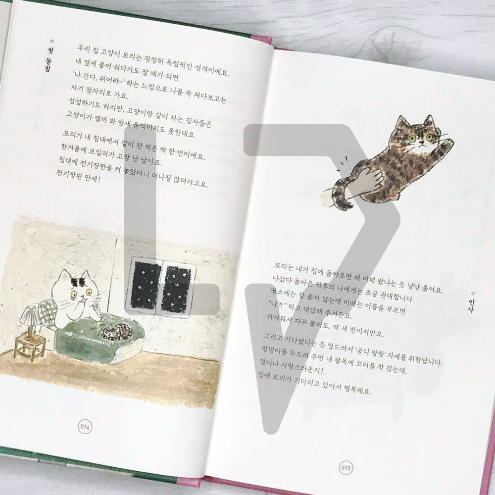 To tell you the charm of cats 고양이의 매력으로 말할 것 같으면 - Life Pattern Korea