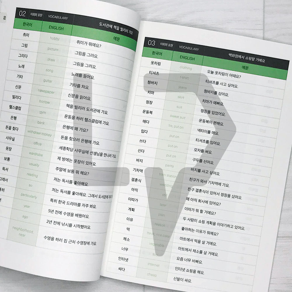 Sejong Korean Vocabulary & Grammar Book 세종한국어 어휘 표현과 문법 1B (2022 Edition)