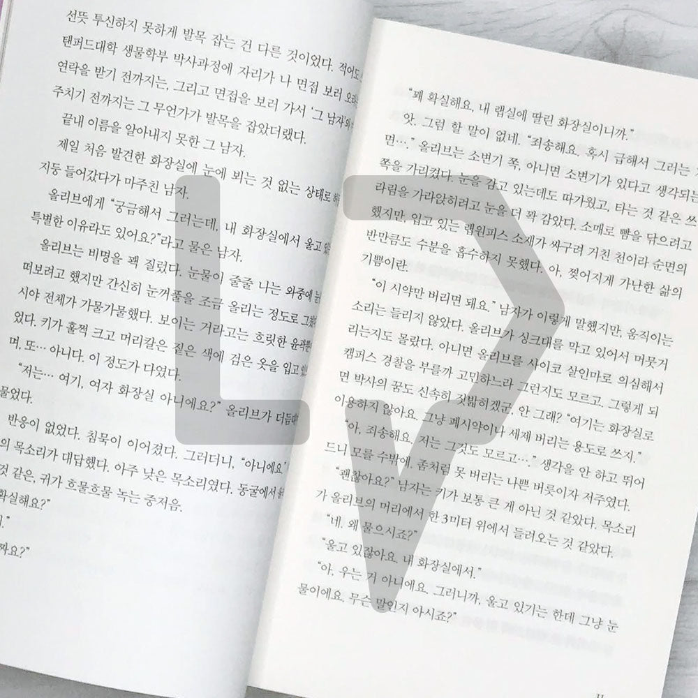 The Love Hypothesis 사랑의 가설