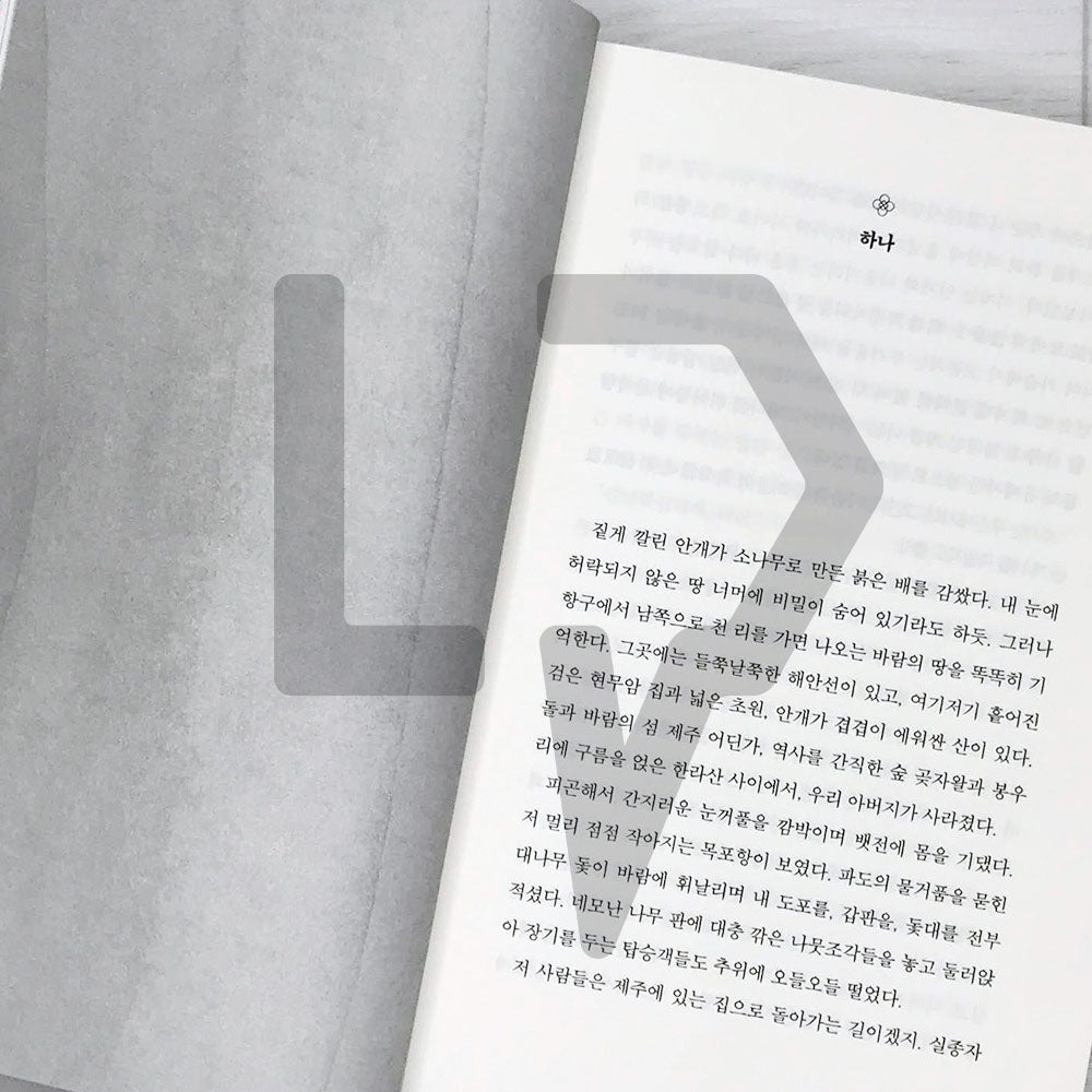 The Forest of Stolen Girls 사라진 소녀들의 숲