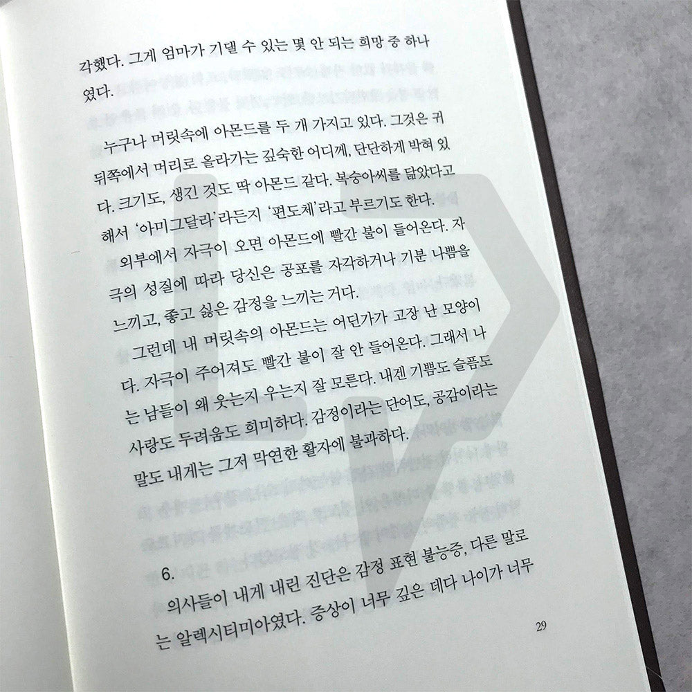 Almond 아몬드 - Life Pattern Korea