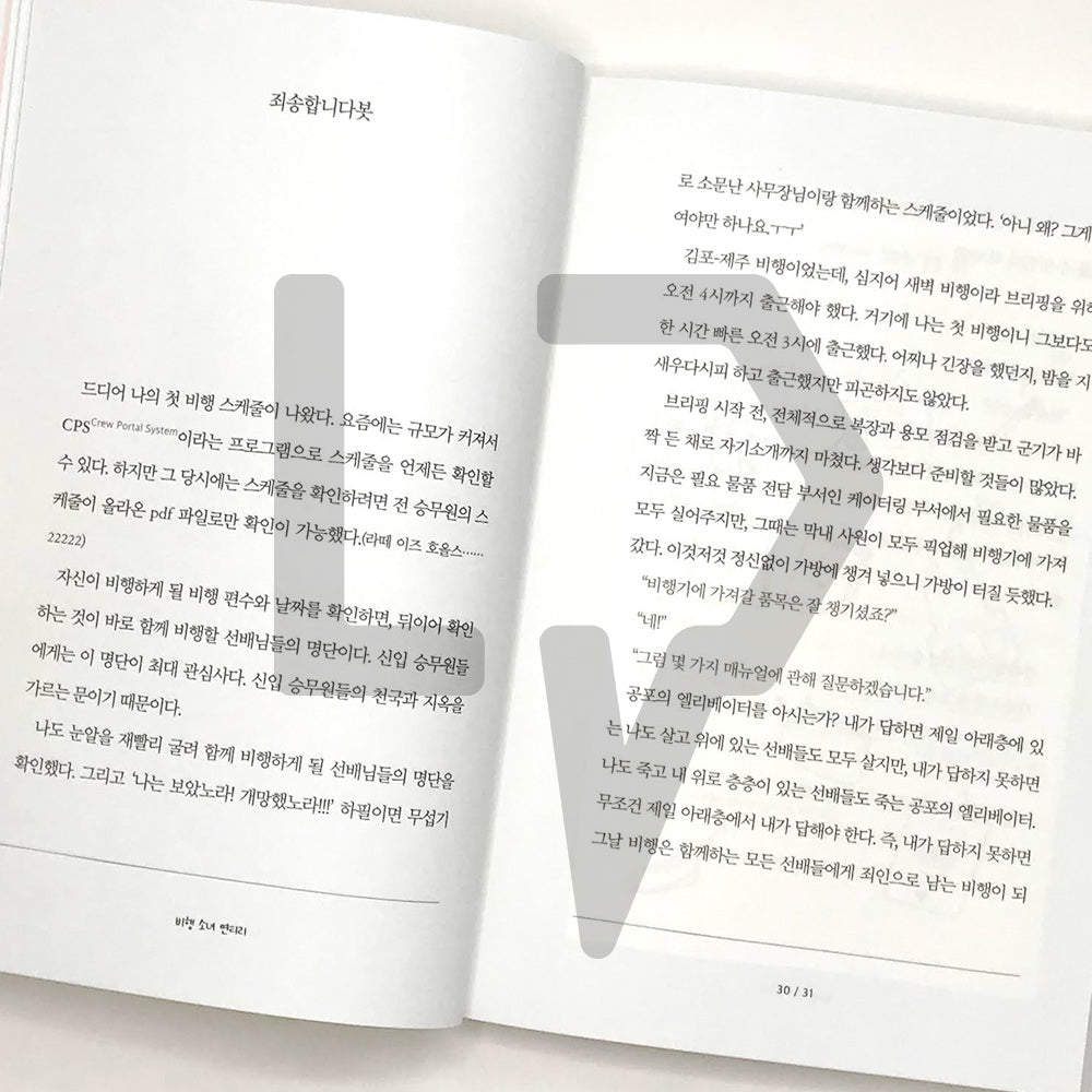 How come, flight attendant 어쩌다, 승무원 - Life Pattern Korea
