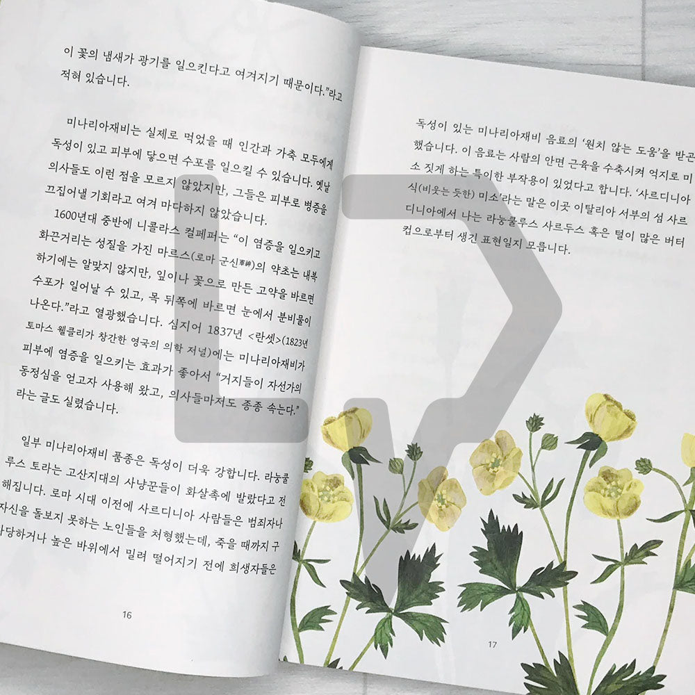 Floriography 꽃말의 탄생 - Life Pattern Korea