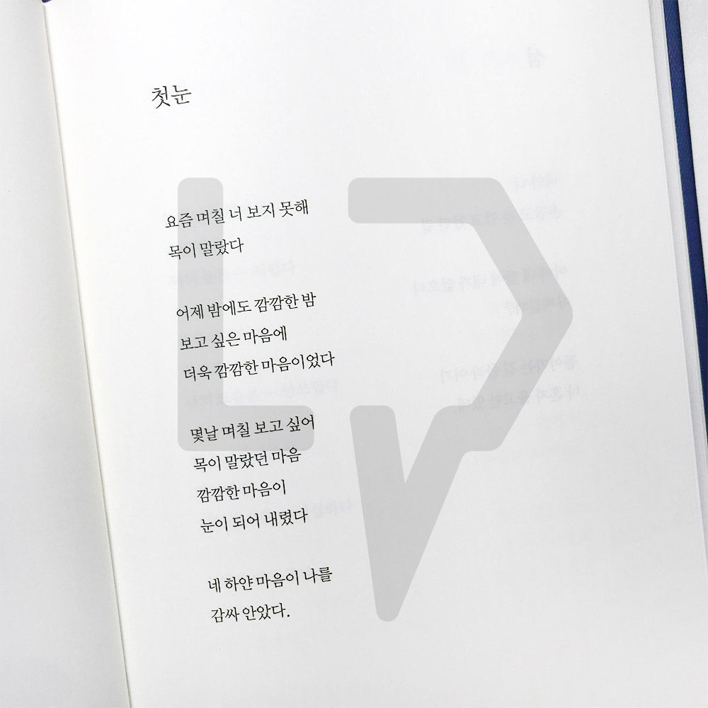 I see you like a flower 꽃을 보듯 너를 본다 - Life Pattern Korea
