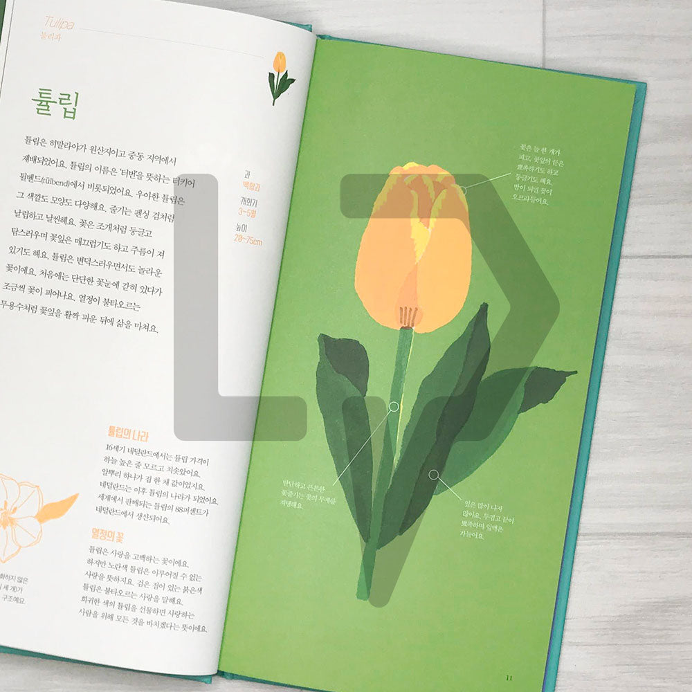 Seasonal Flowers (Fleurs de saison) 꽃의 계절