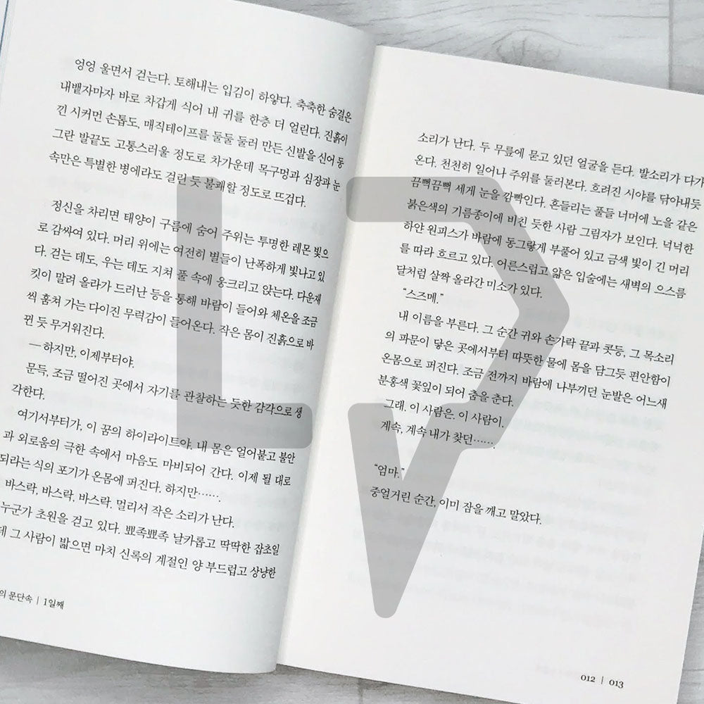 Suzume 스즈메의 문단속 (Softcover) - Life Pattern Korea