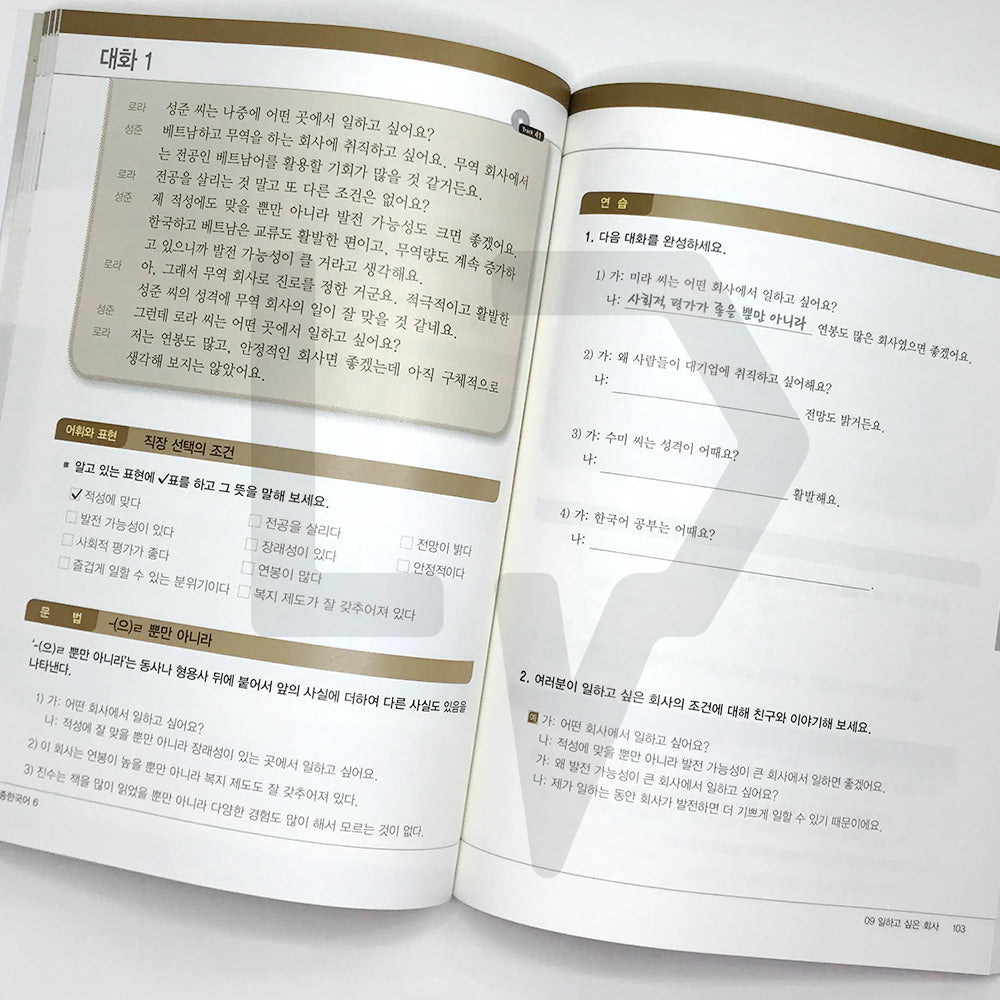 Sejong Korean 세종한국어 Level 6 - Life Pattern Korea