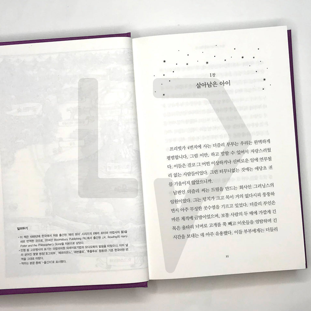 Harry Potter and the Sorcerer's Stone (20th Anniversary) 해리 포터와 마법사의 돌 (20주년 개정판)