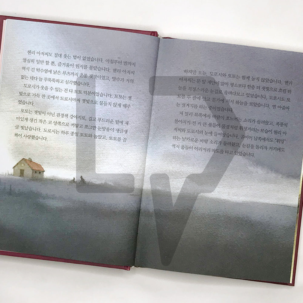 The Wonderful Wizard of Oz 오즈의 마법사 - Life Pattern Korea