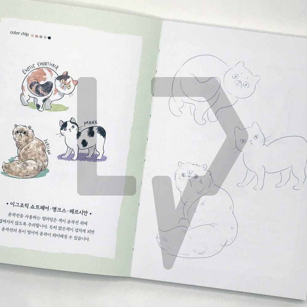 5-Minute Coloring Book Cats 5분 컬러링북 고양이 - Life Pattern Korea
