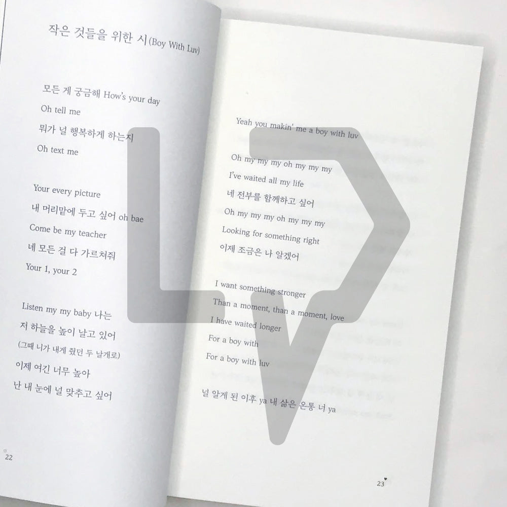 A Poem for Small Things - BTS' Songs Prose by Na Tae-joo 작은 것들을 위한 시 - Life Pattern Korea