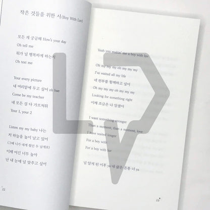 A Poem for Small Things - BTS' Songs Prose by Na Tae-joo  작은 것들을 위한 시
