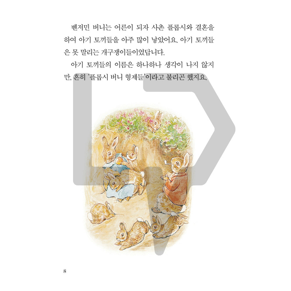 The Tale of Peter Rabbit by Beatrix Potter 피터 래빗 이야기 Vol. 2 - Life Pattern Korea
