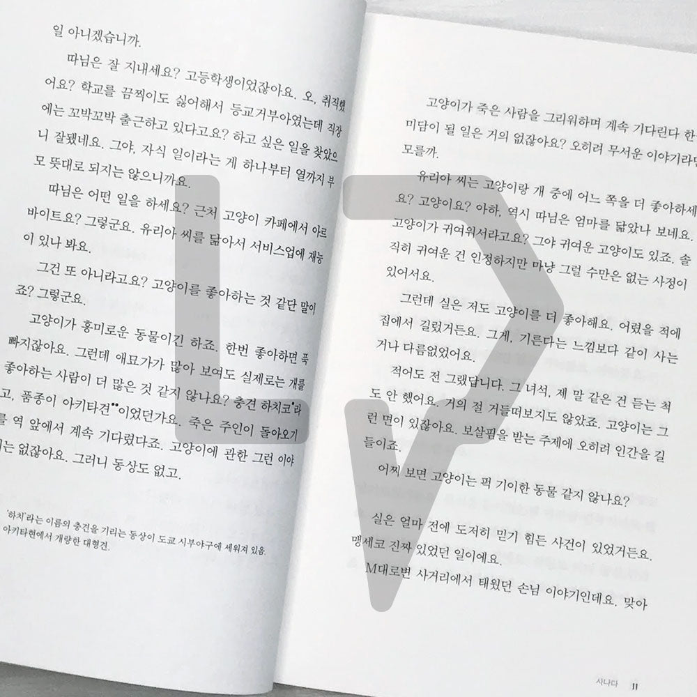 Lotus Taxi 로터스 택시에는 특별한 손님이 탑니다