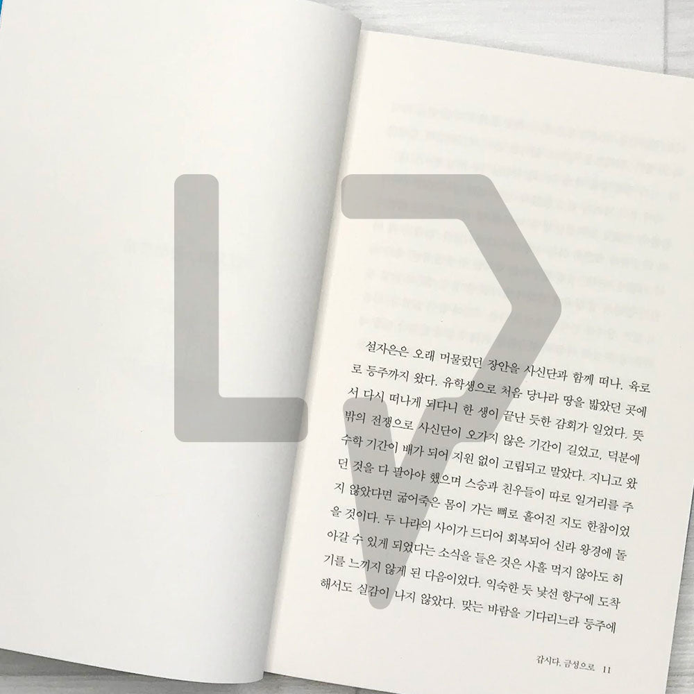 Seol Ja-eun, Return to Geumseong (Seol Ja-eun Series 1) 설자은, 금성으로 돌아오다