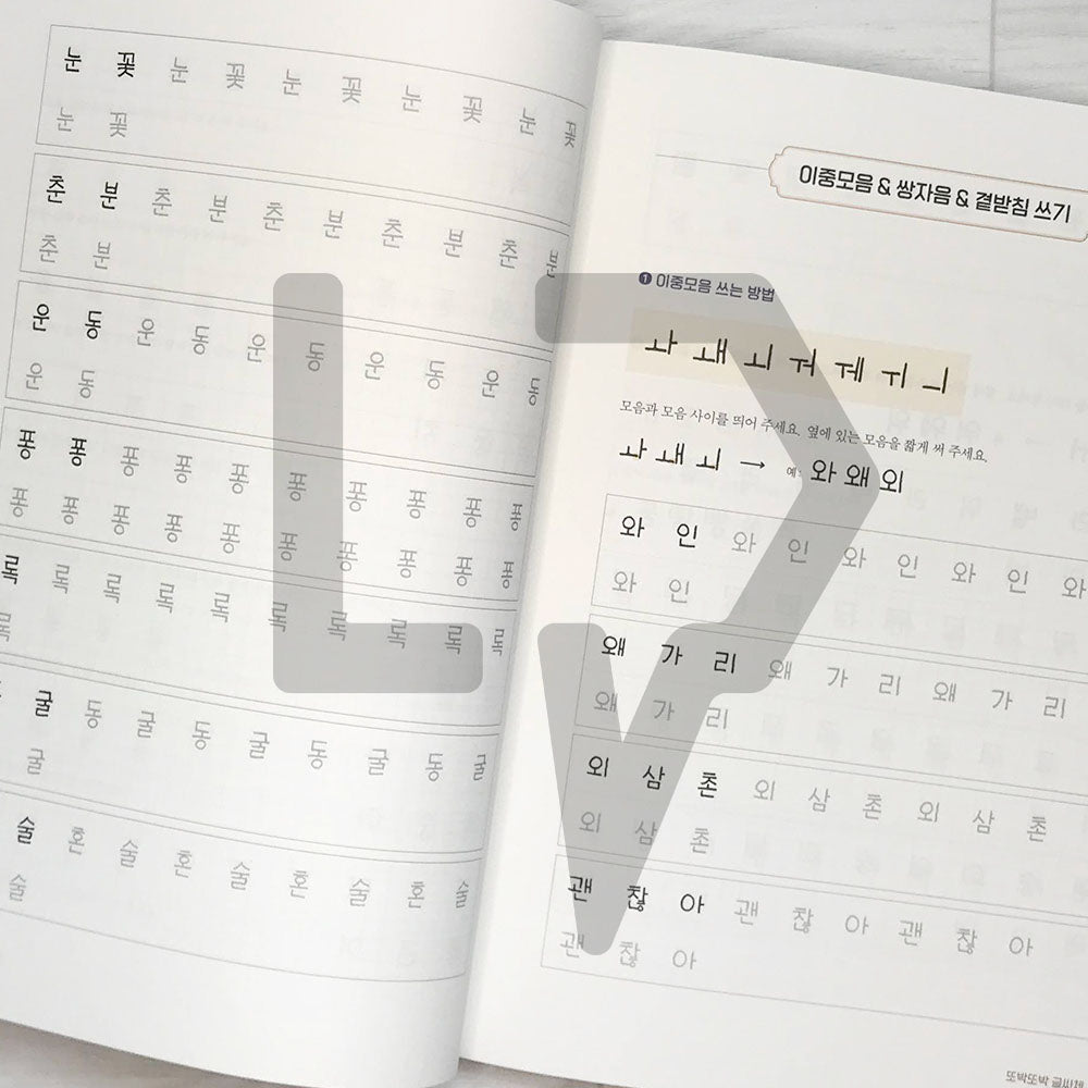 Ddoddan’s Korean Handwriting 또딴체 손글씨 - Life Pattern Korea