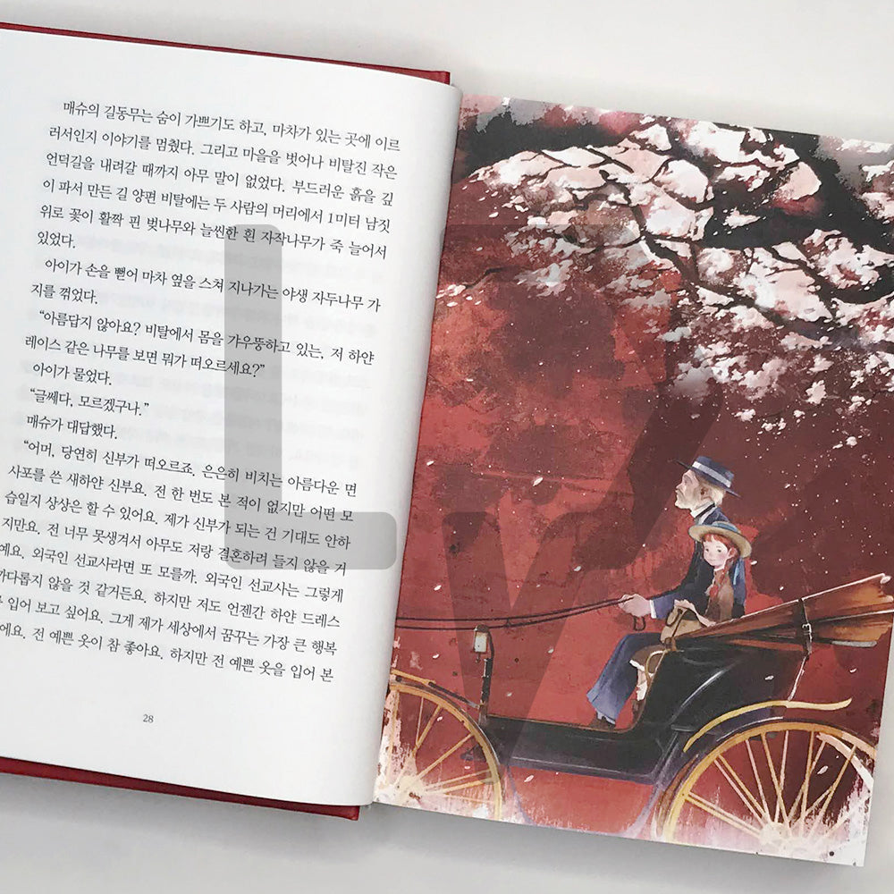 Anne of Green Gables 빨간 머리 앤 - Life Pattern Korea