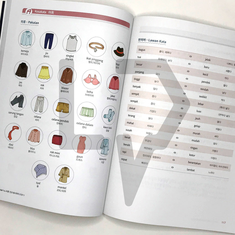 New The Right Indonesian Language New The 바른 인도네시아어 Step 1 - Life Pattern Korea