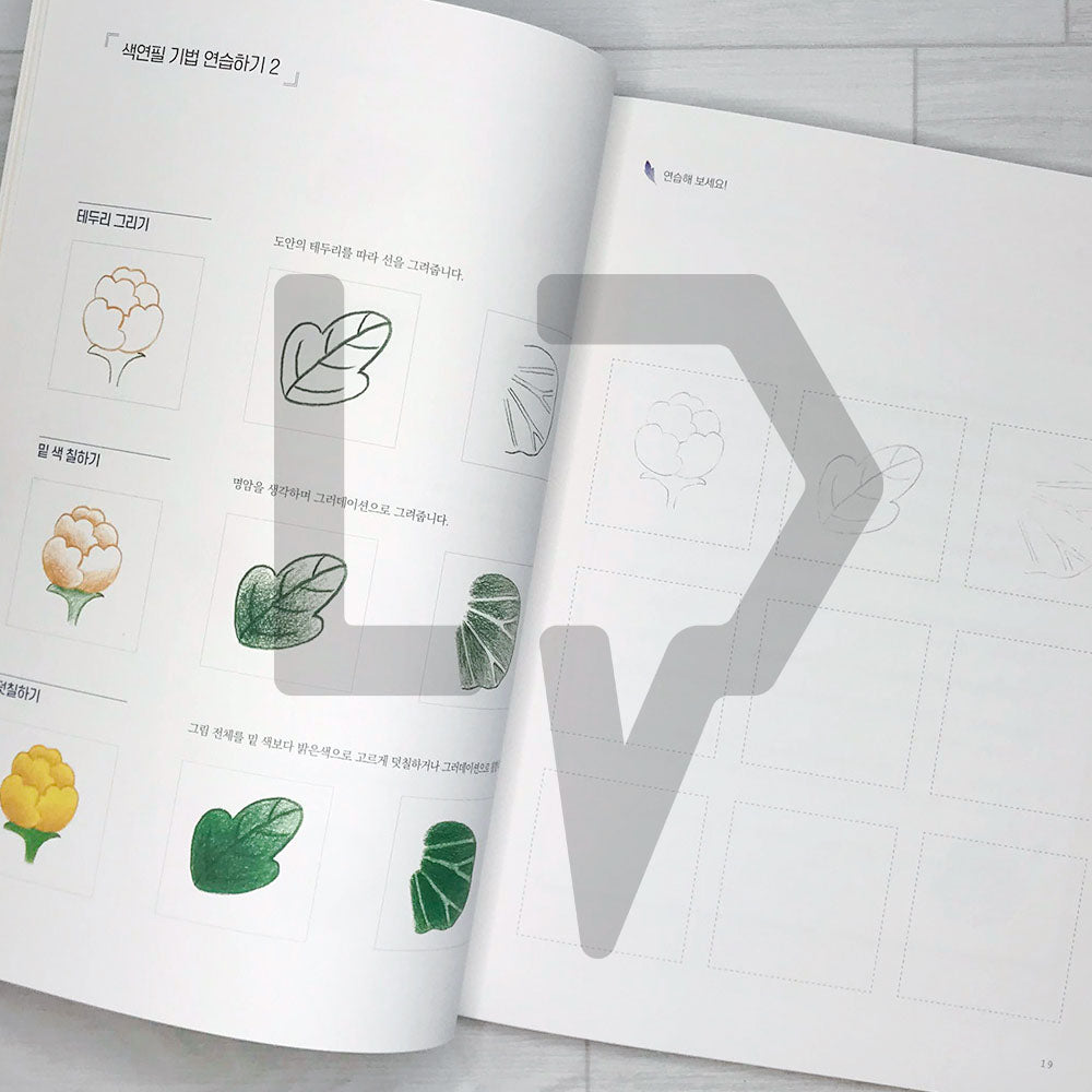 Modern Minhwa coloring book 색연필로 그리는 모던민화 컬러링북 - Life Pattern Korea
