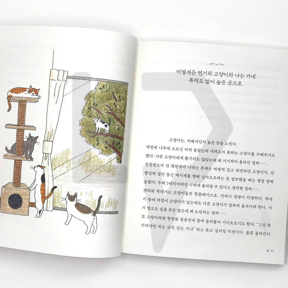 I want to go home where my cats await 고양이가 기다리는 집으로 가고 싶어 - Life Pattern Korea