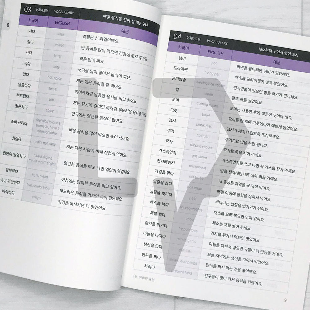 Sejong Korean Vocabulary & Grammar Book 세종한국어 어휘 표현과 문법 3B (2022 Edition)