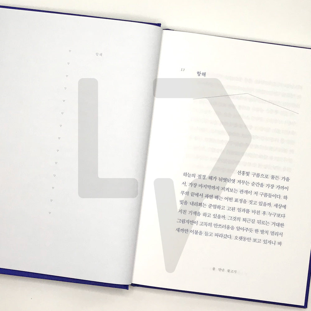 Fish in the Water by Lee Chan-hyuk (AKMU) 물 만난 물고기 - Life Pattern Korea