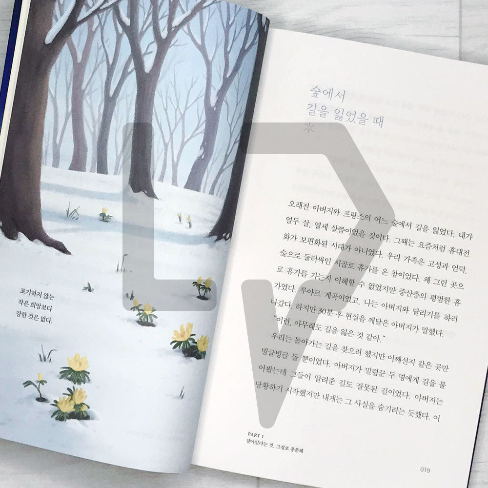 The Comfort Book 위로의 책