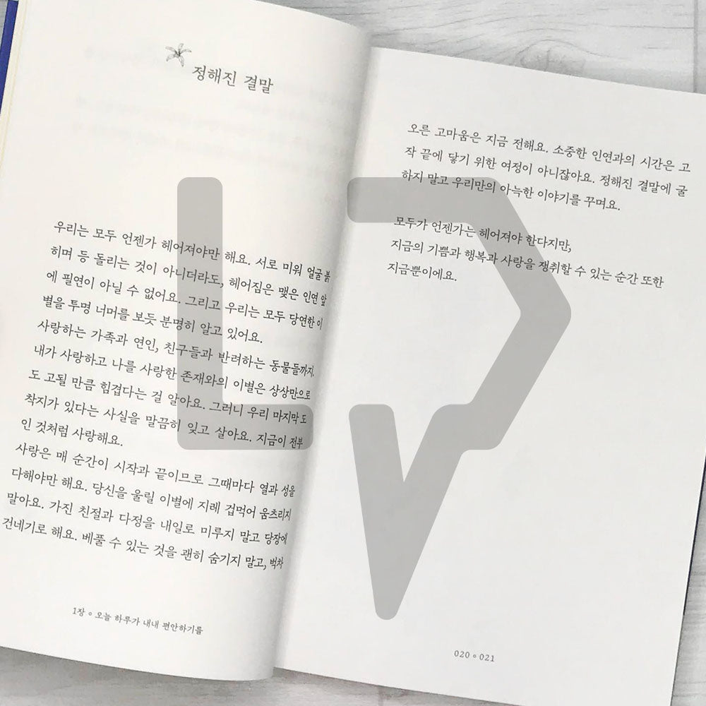 I like being with you the most 나는 너랑 노는 게 제일 좋아 - Life Pattern Korea