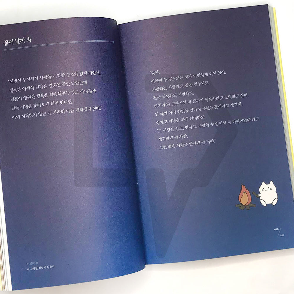 Since there are many reasons, I only say just 이유가 많으니 그냥이라고 할 수밖에 - Life Pattern Korea