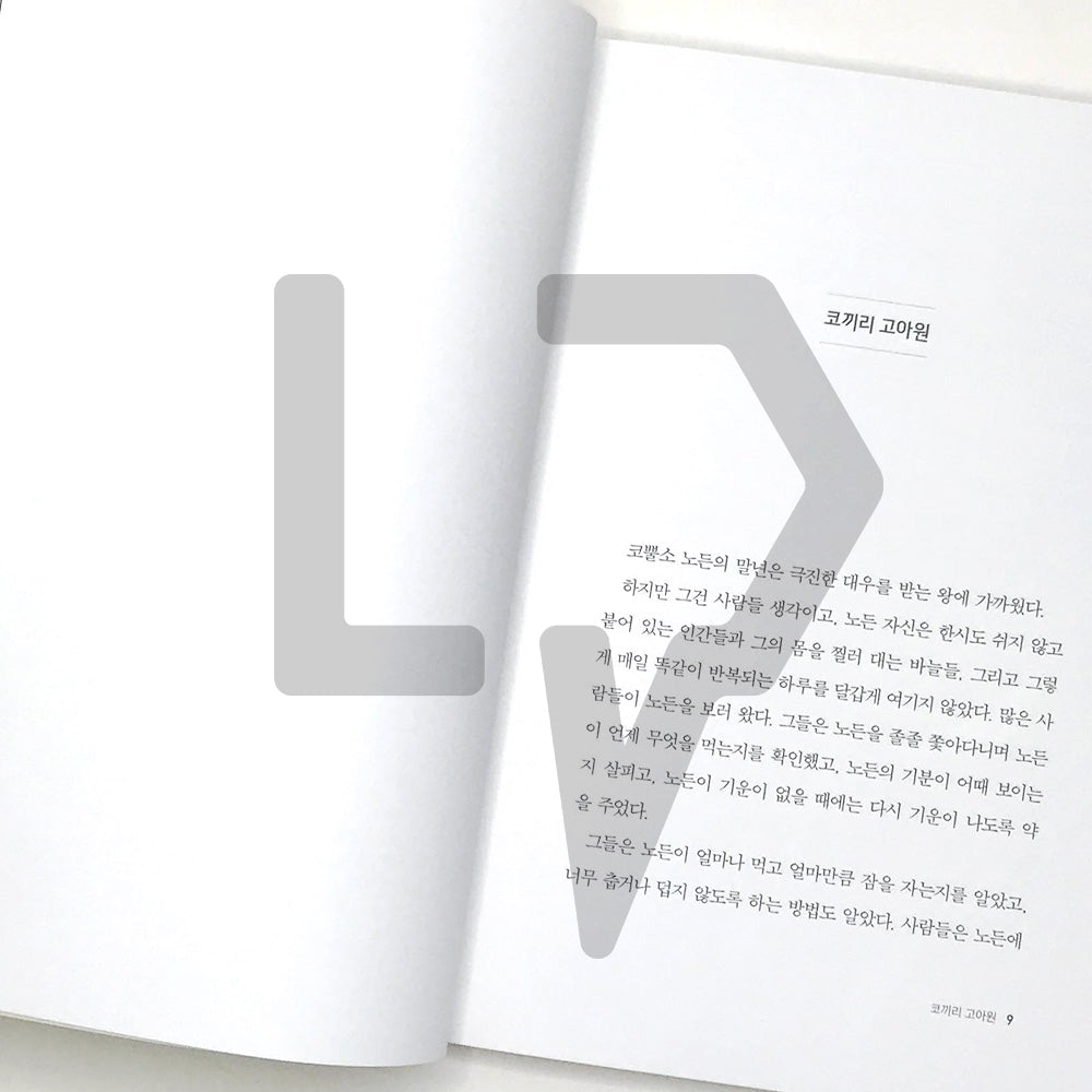 The Long Night 긴긴밤 - Life Pattern Korea