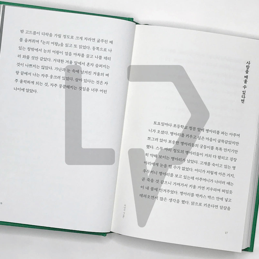 We love each other without a promise 우리는 약속도 없이 사랑을 하고 - Life Pattern Korea