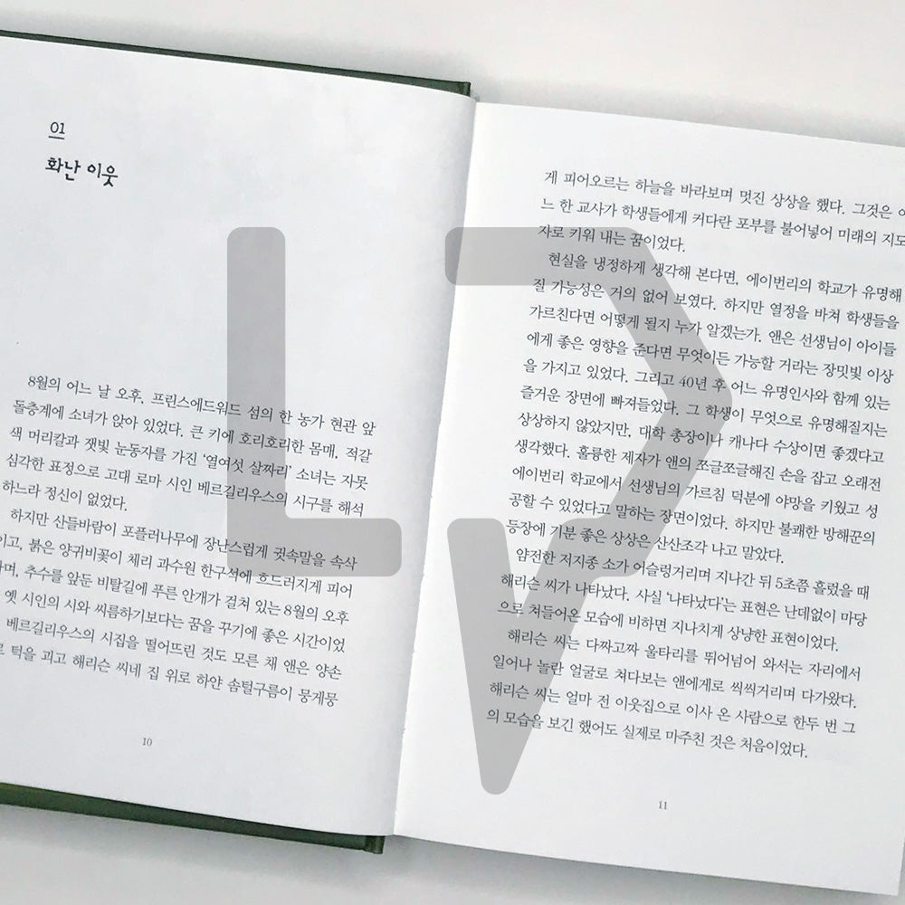 Anne of Avonlea 에이번리의 앤 - Life Pattern Korea