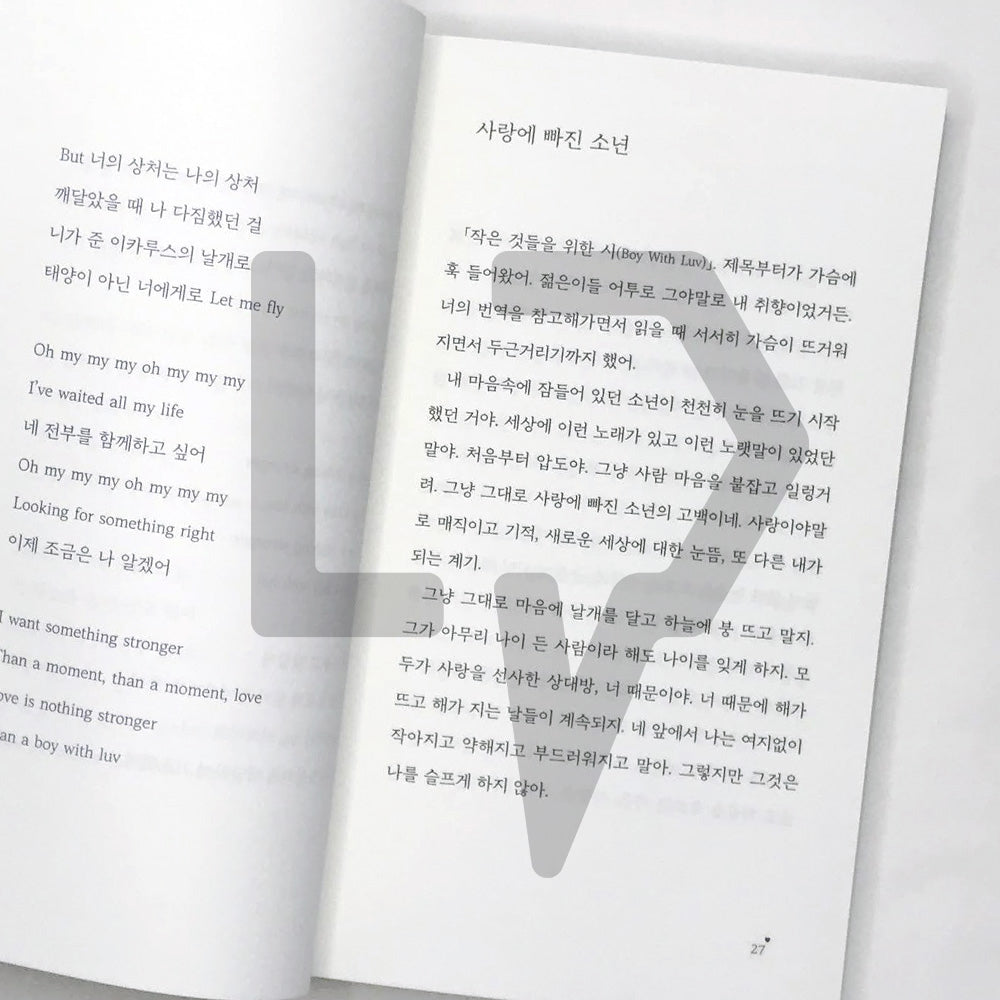 A Poem for Small Things - BTS' Songs Prose by Na Tae-joo 작은 것들을 위한 시 - Life Pattern Korea