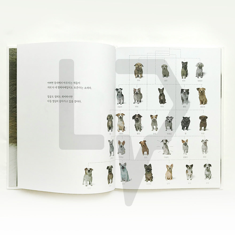 I am a dog 나는 개다 - Life Pattern Korea