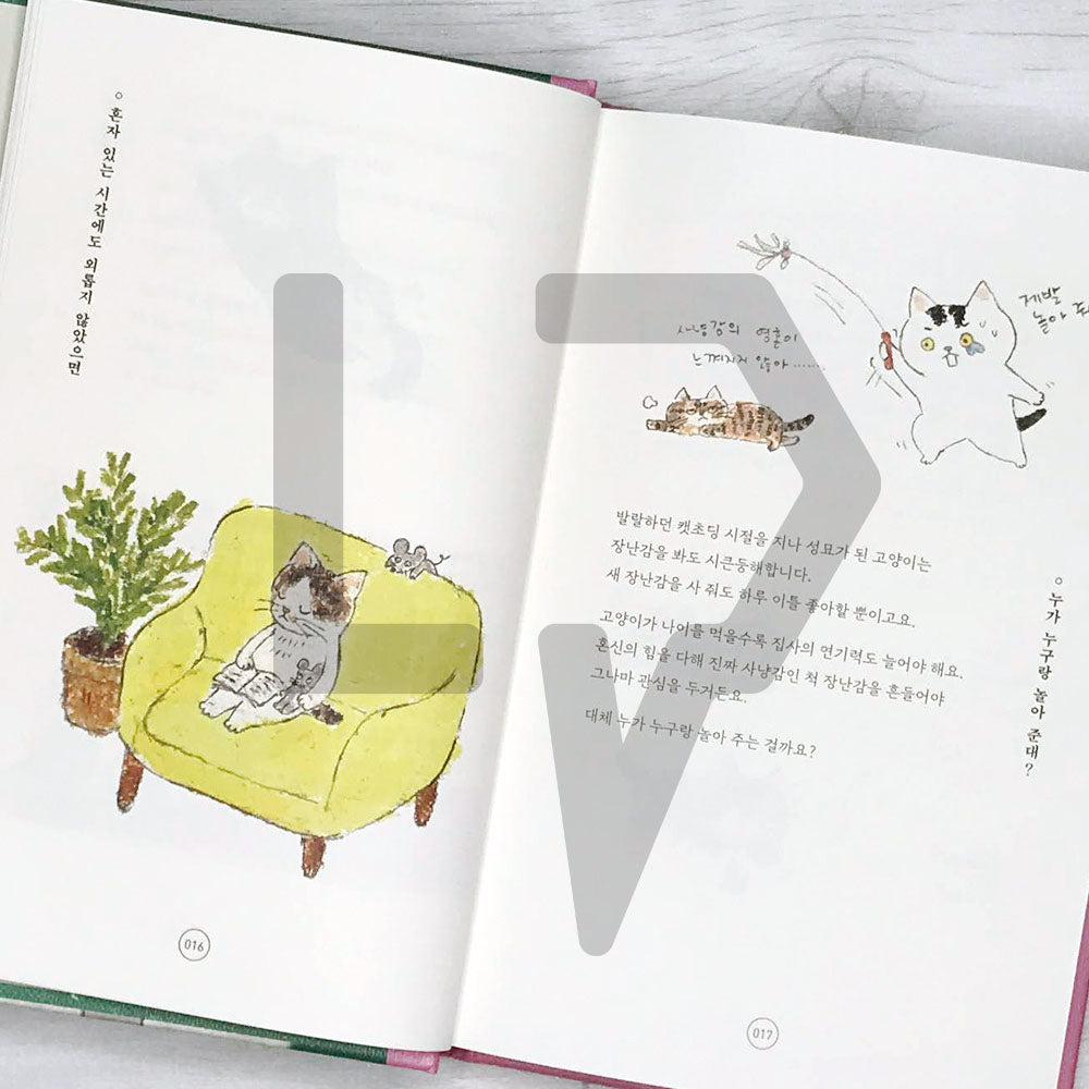 To tell you the charm of cats 고양이의 매력으로 말할 것 같으면 - Life Pattern Korea