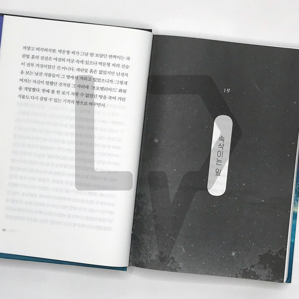 Nine 나인 - Life Pattern Korea