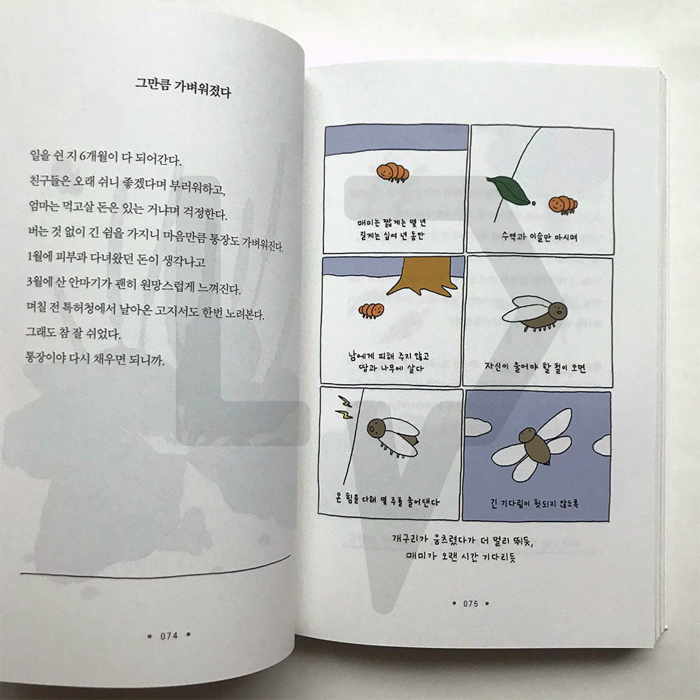 I decided to give myself some time 나에게 시간을 주기로 했다 - Life Pattern Korea