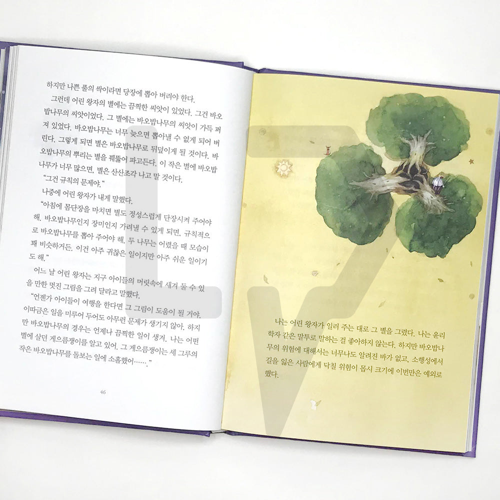 The Little Prince 어린 왕자 - Life Pattern Korea