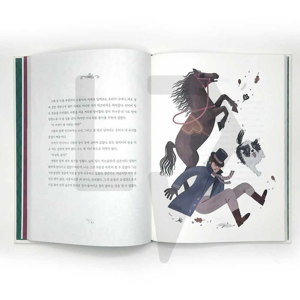 Jane Eyre: Illust Edition 제인 에어 일러스트 에디션 - Life Pattern Korea