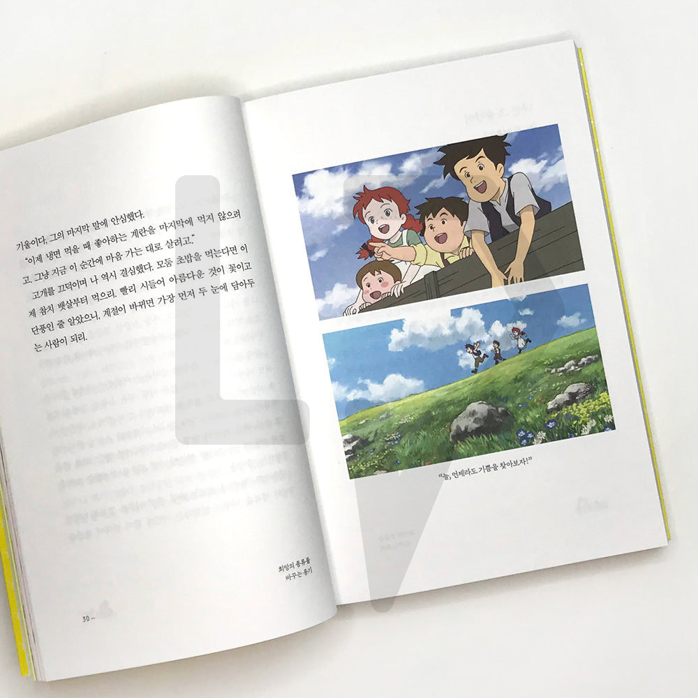 Hello, My Dear Anne of Green Gables 안녕, 나의 빨강머리 앤 - Life Pattern Korea