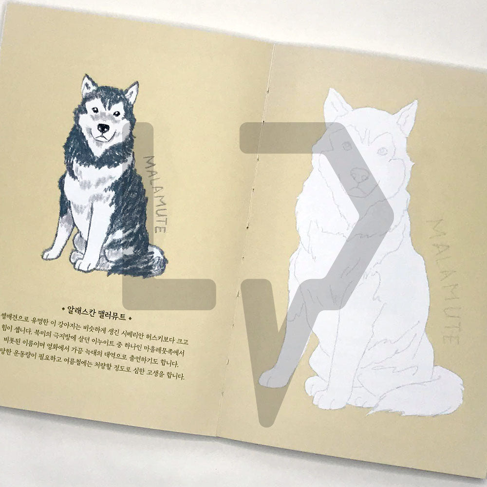 5-Minute Coloring Book Dogs 5분 컬러링북 강아지 - Life Pattern Korea