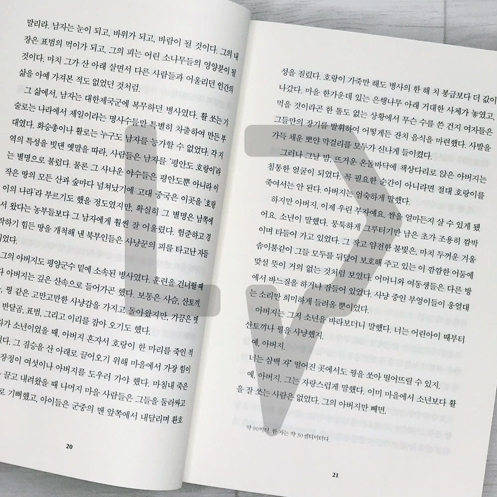 Beasts of a Little Land 작은 땅의 야수들