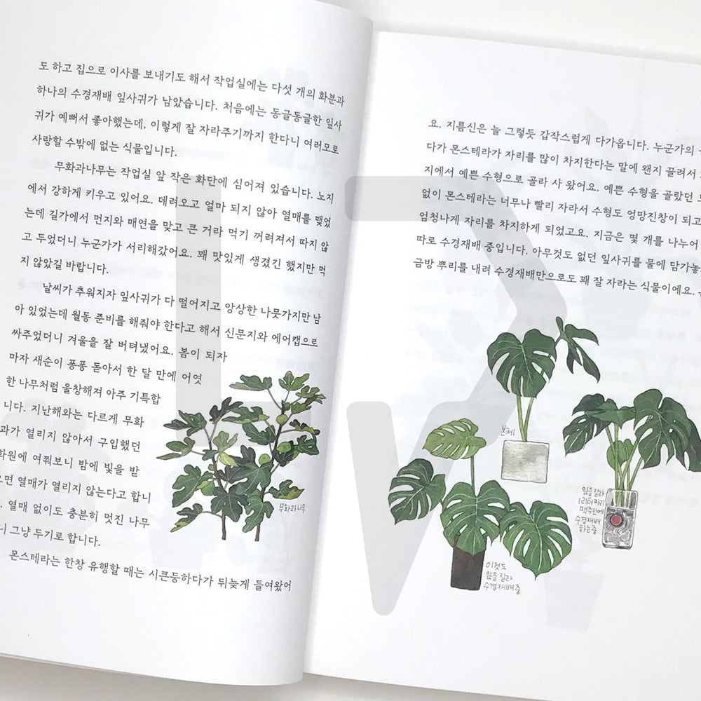 I'm serious about pretty trash 예쁜 쓰레기에 진심입니다 - Life Pattern Korea