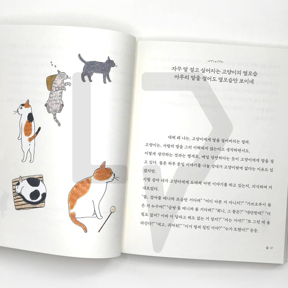I want to go home where my cats await 고양이가 기다리는 집으로 가고 싶어 - Life Pattern Korea